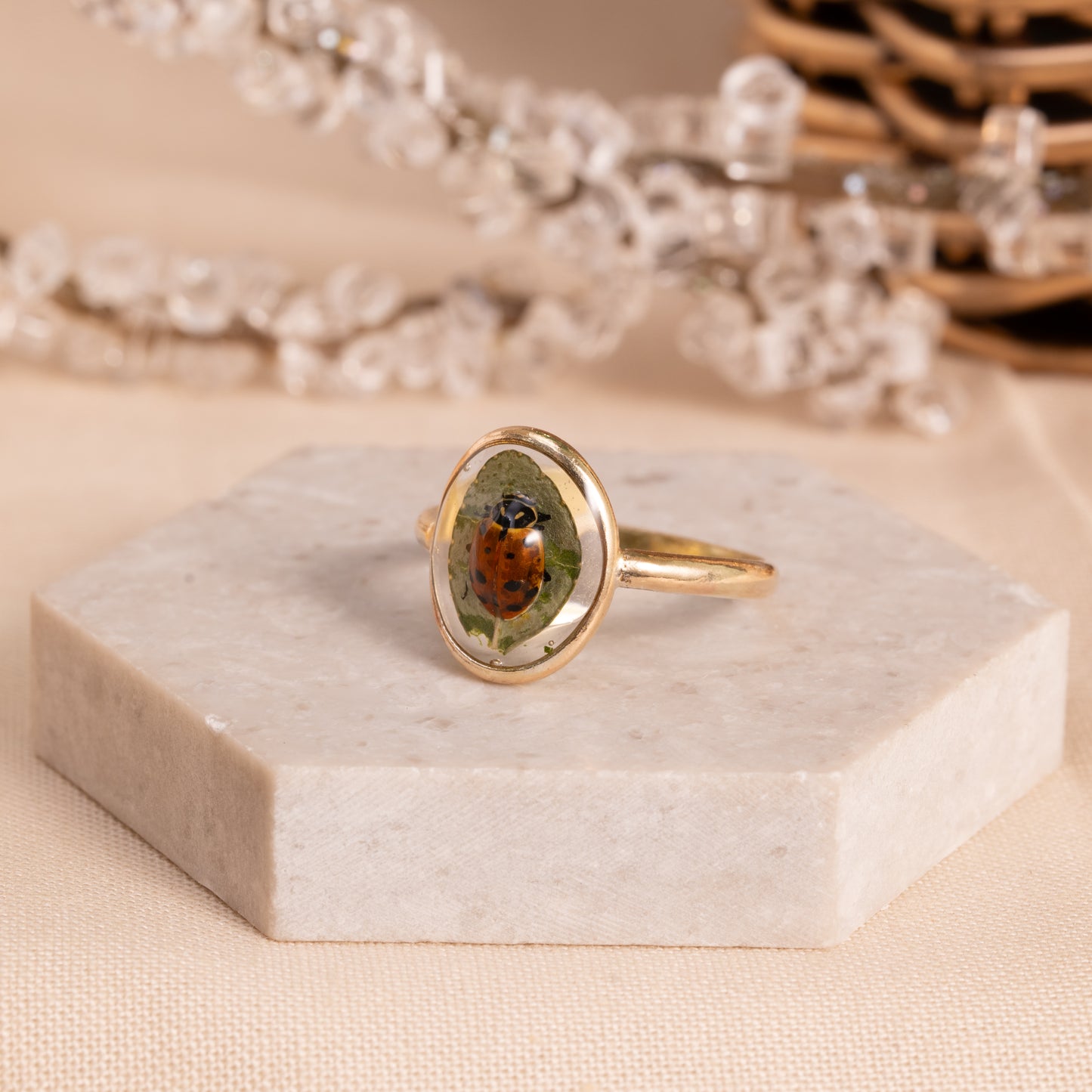 Leaf Ring with Real Ladybug– Artisan Gold Filled Band