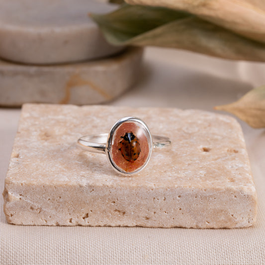 Lady Bug Ring - Real Lady Bug!